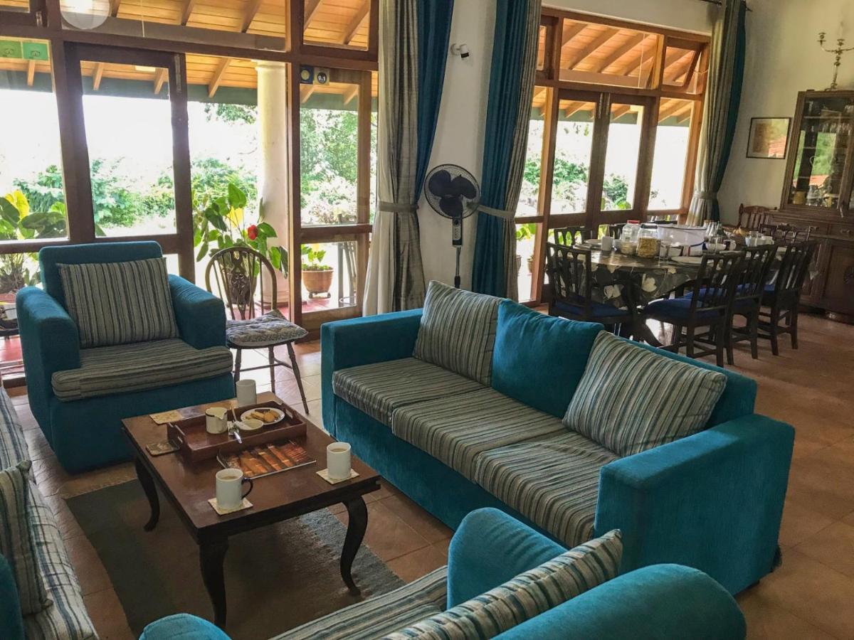캔디 Jungle Tide B&B 외부 사진