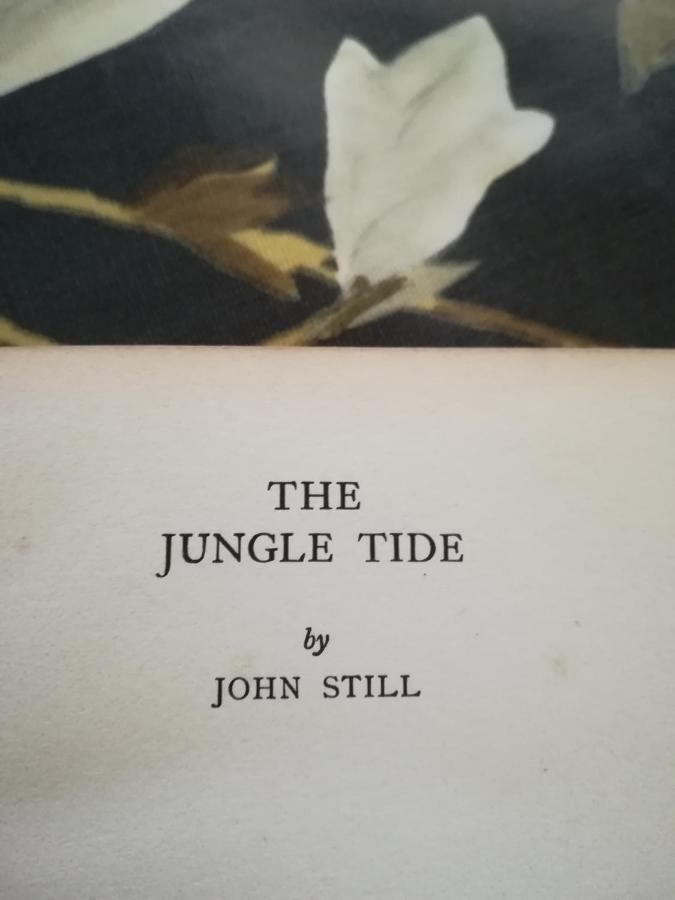 캔디 Jungle Tide B&B 외부 사진